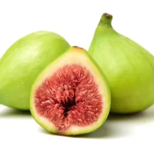 Green Figs