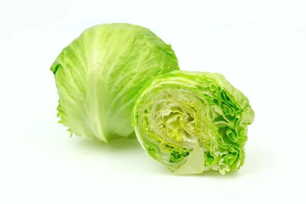 Iceberg Lettuce