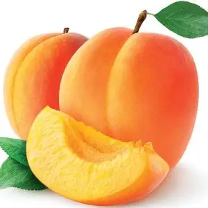 Apricots
