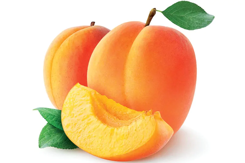Apricots