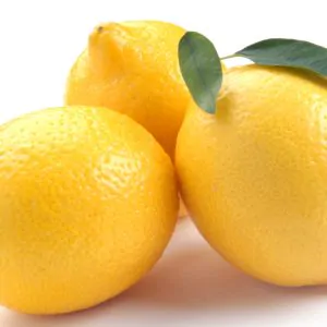 Large Lemons