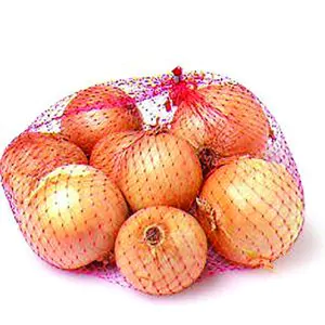 Cooking Onion Bags
