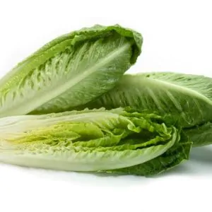 Romaine Lettuce