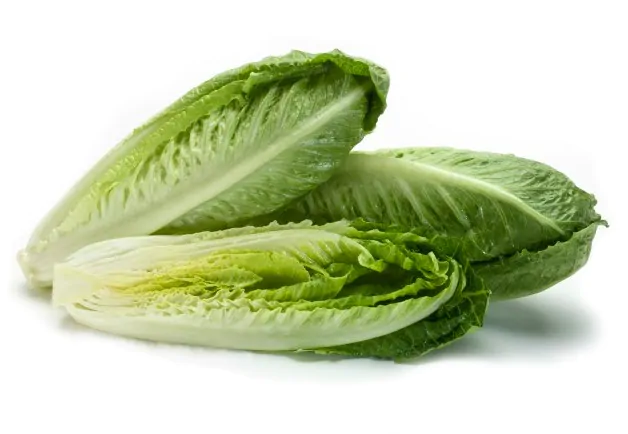 Romaine Lettuce