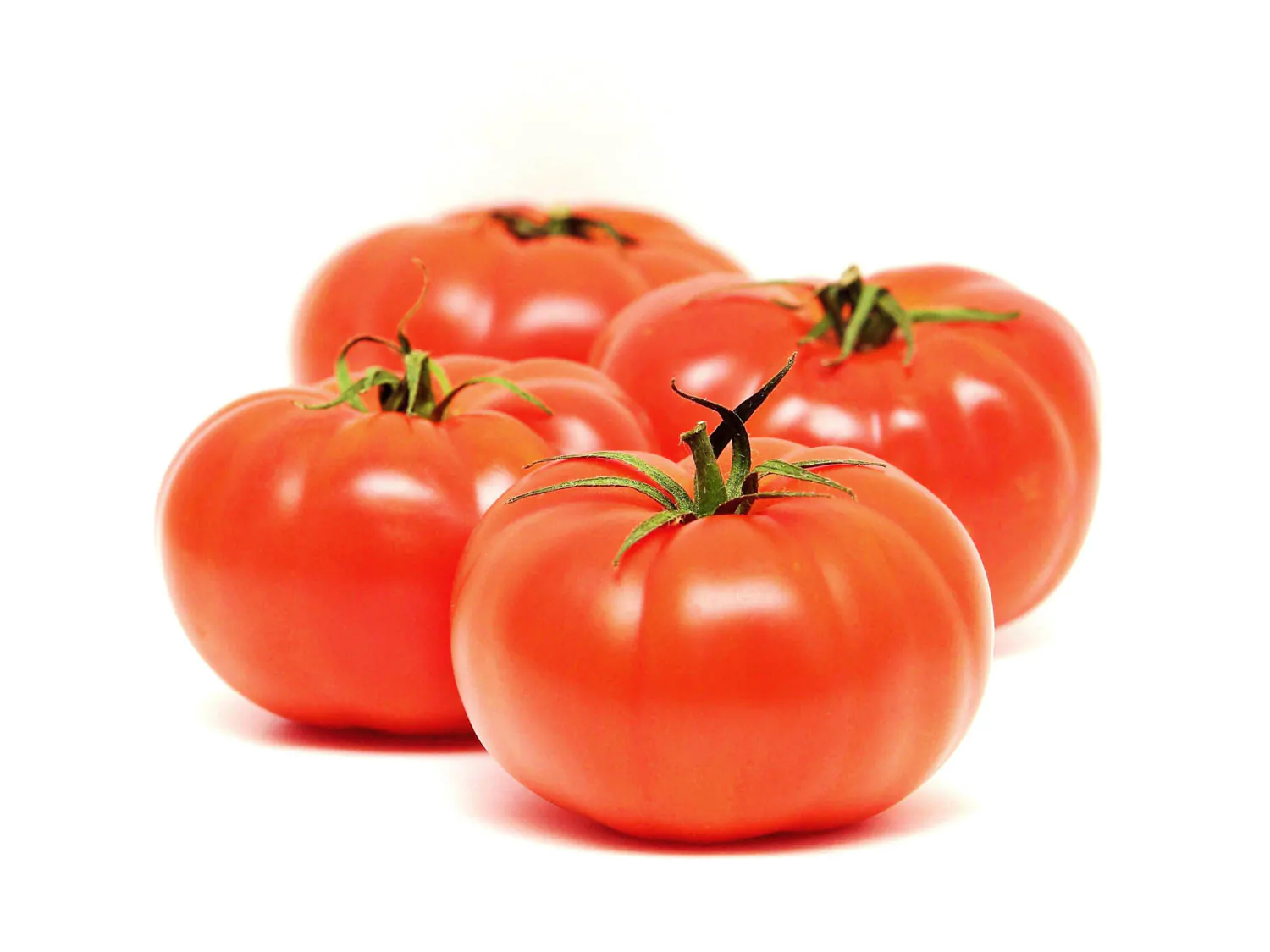 Tomatoes