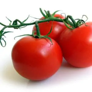 Vine Tomatoes