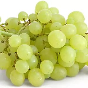 Sweet Globe Green Grapes