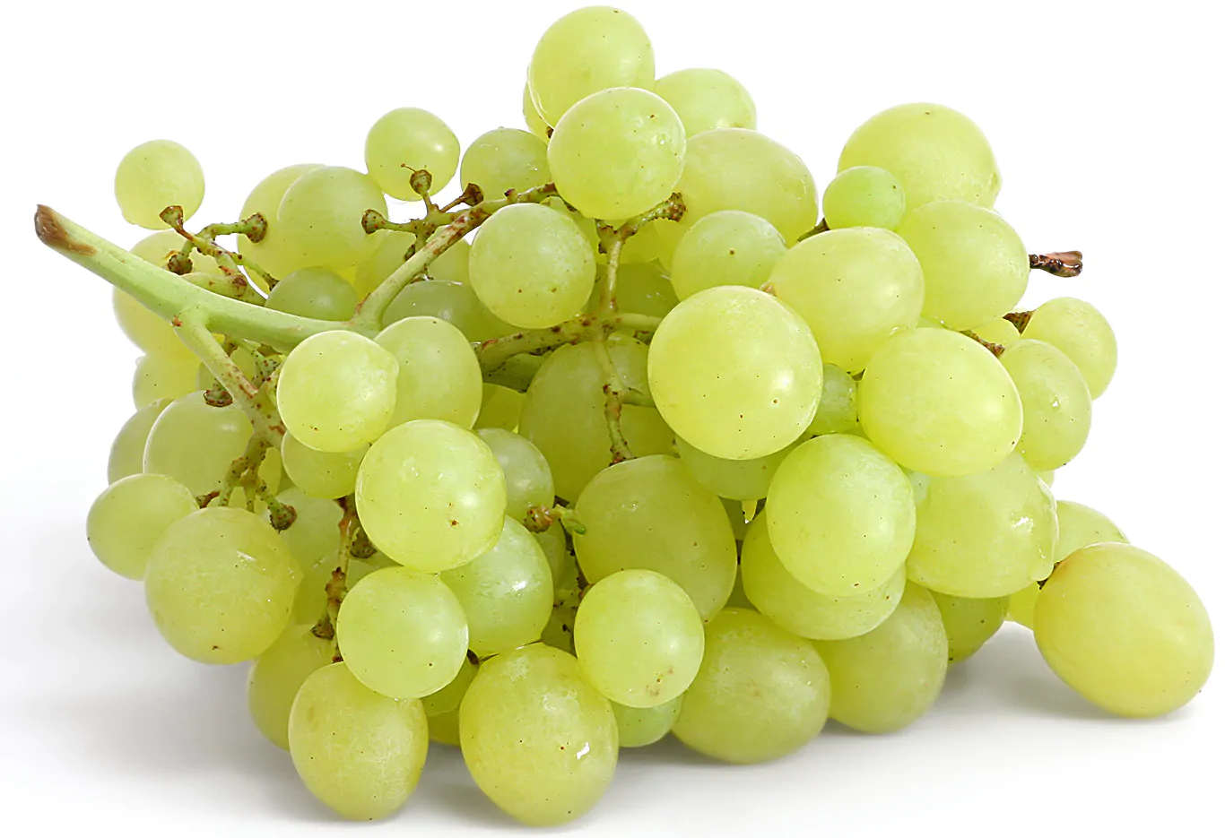 Sweet Globe Green Grapes