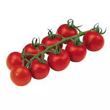 Campari Tomatoes