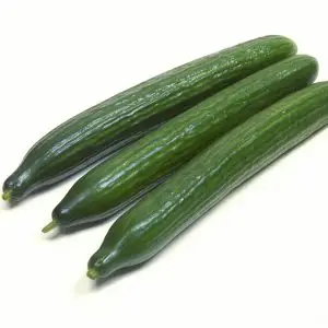 Mikta Cucumbers