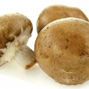 Mushrooms