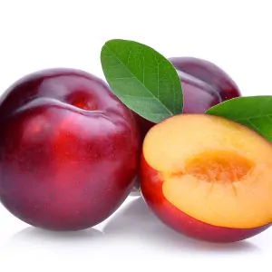 Red Plums