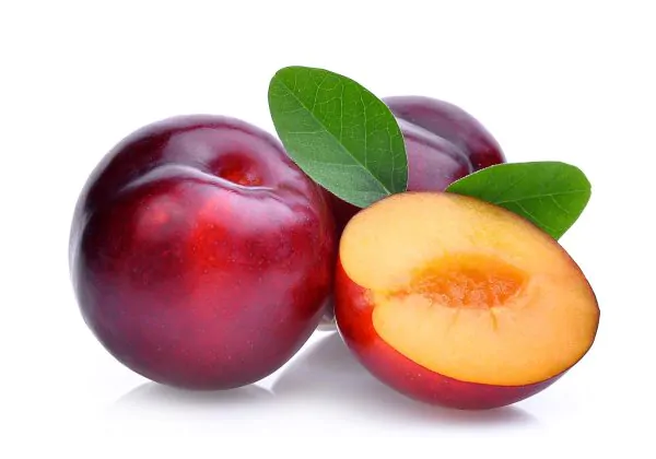 Red Plums
