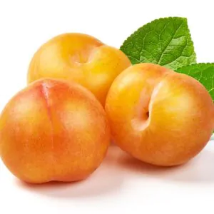 Yellow Plums
