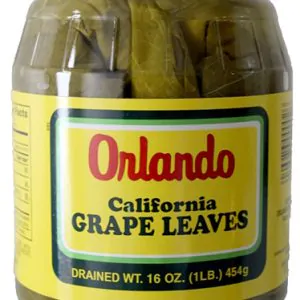 Orlando Grape Leaves