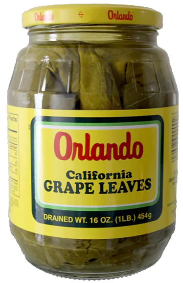 Orlando Grape Leaves